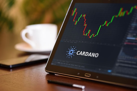 Cardano ve HUH Token, Amazon Ormanları İçin Kolları Sıvadı