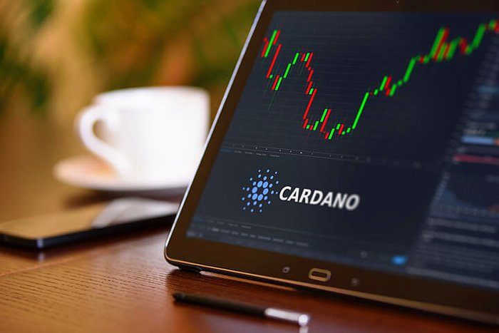 Cardano ve HUH Token, Amazon Ormanları İçin Kolları Sıvadı