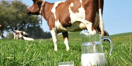 Zamlar Devam Edecek: Süt Fiyatlarında Artış Sürecek!