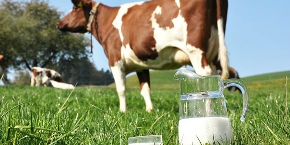 Zamlar Devam Edecek: Süt Fiyatlarında Artış Sürecek!