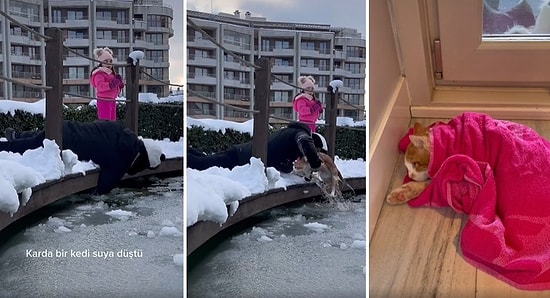 Buz Tutmuş Havuza Düşen Kediyi Kurtarıp Sıcak Yuvalarına Alan Güzel İnsanların O Anları İçinizi Isıtacak