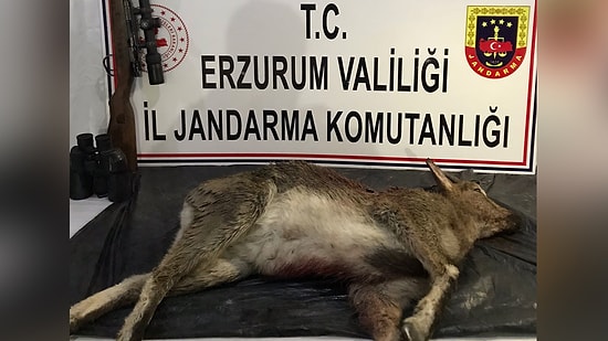 Erzurum'da Yaban Keçisini Avlayan Kişiye 60 Bin Lira Ceza
