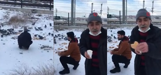 Çöp Kenarlarından Topladığı Ekmeklerle Sokak Hayvanlarını Besleyen Amcanın Duygulandıran Görüntüleri