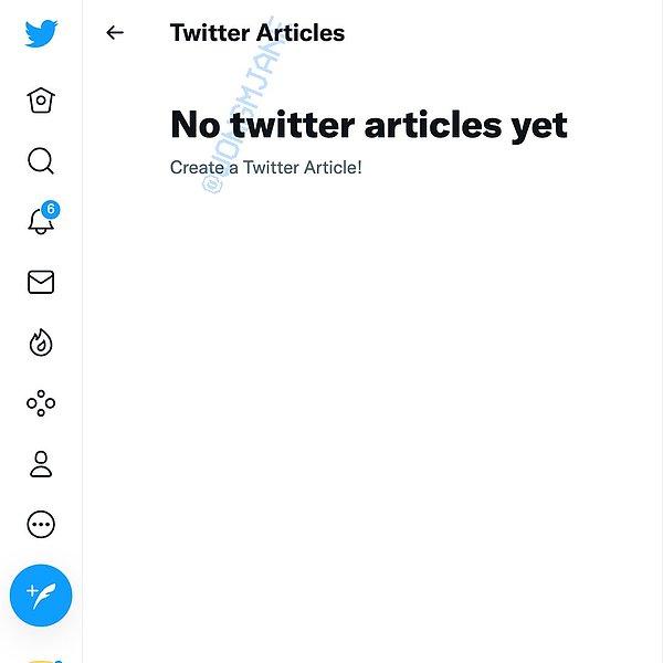 Jane Manchun Wong tarafından paylaşılan ekran görüntüsüne göre Twitter Articles adındaki özellikle Twitter'ın uzun paylaşımlara odaklanacağı düşünülüyor.
