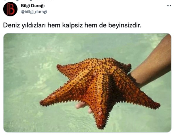 4. Bu bilgiyi kimlere göndermek isterdiniz?😂