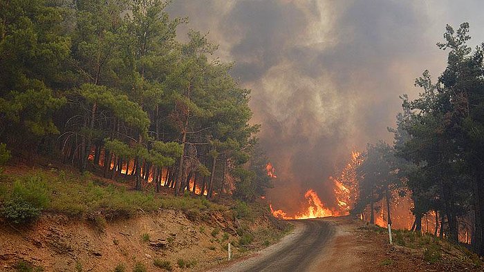 OGM, Orman Yangınlarıyla Mücadele Bütçesini Düşürdü