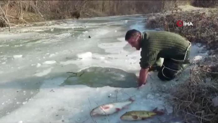 Erzincan'da Buz Tutan Nehirden Çıplak Elleriyle Balık Tutan Adam