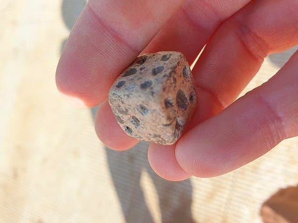 Mezarlığı inceleyen arkeologlar, kesilen başları ölülerin ayak diplerine bırakılmış şekilde buldu. Yani bu şekilde gömülmüşlerdi.