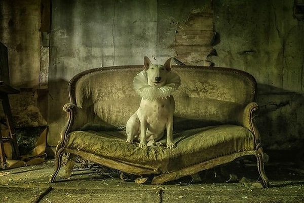 2. Назад во времени