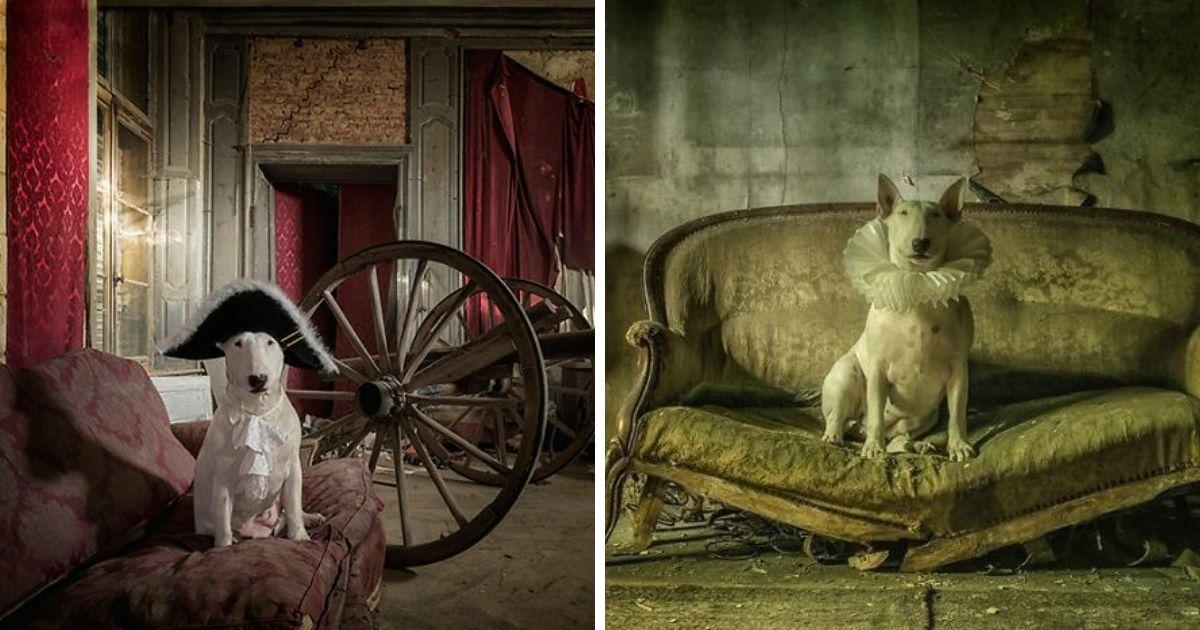 15 фотографий от девушки, которая исследует заброшенные места со своей собакой