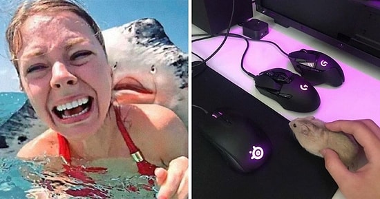 26 самых странных и забавных фотографий, которые можно найти в Интернете