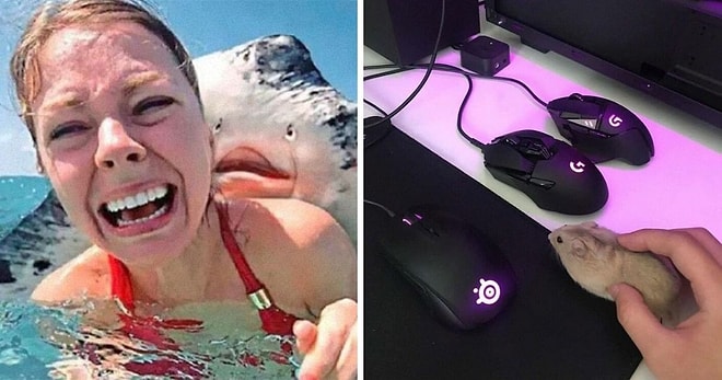 26 самых странных и забавных фотографий, которые можно найти в Интернете