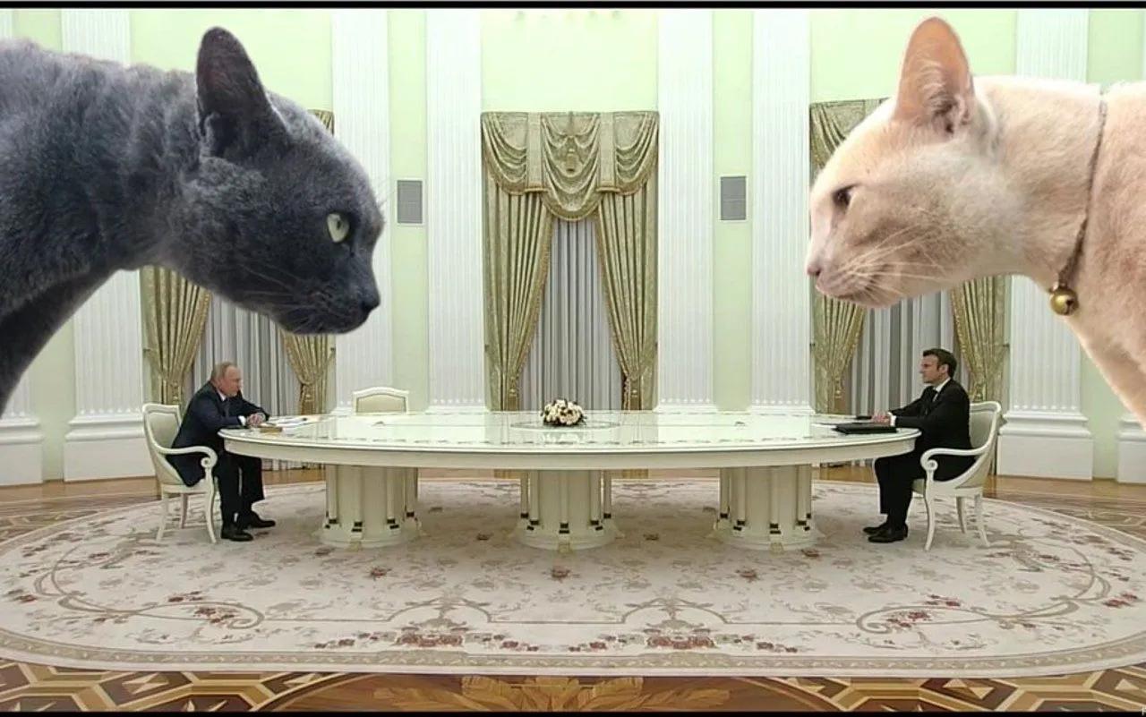 Огромный стол Путина