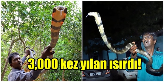 Kobra Sokması Sonucunda Ölümden Dönen Yılan Avcısının Hikayesini Duyunca Soğuk Ter Dökeceksiniz!