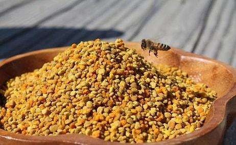 Arı Poleni Nedir? Arı Poleninin Faydaları ve Zararları