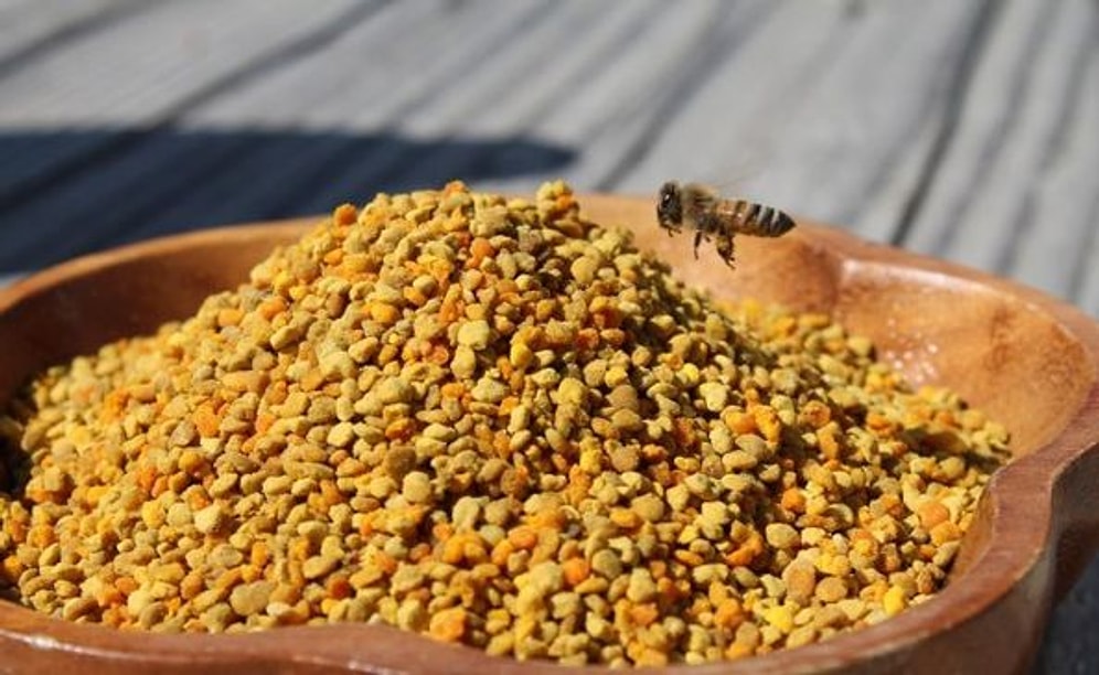 Arı Poleni Nedir? Arı Poleninin Faydaları ve Zararları