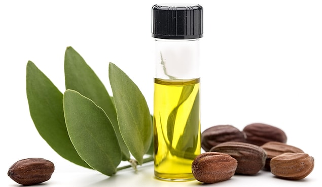 Jojoba Ya�� Nedir? Jojoba Ya��n�n Faydalar� ve Zararlar�