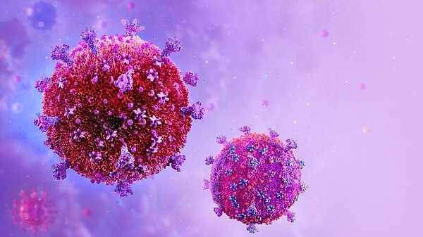 Bilim insanlarına göre, kayıtlardaki kök hücre bağışçılarının çoğu Kafkas kökenli ve kullanılan metot hem HIV hem de kanser olan hastaları ve ayrıca daha çeşitli ırksal geçmişlerden gelen hastaları tedavi etme potansiyeli bulundurabilir.