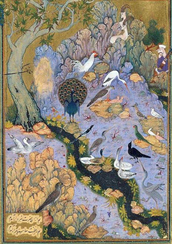 İranlı şair ve hekim Ferîdüddîn-i Attâr'ın Mantık-ut Tayr ( Kuşların Dili) adlı kitabından Kaknüs kuşundan şöyle bahseder: