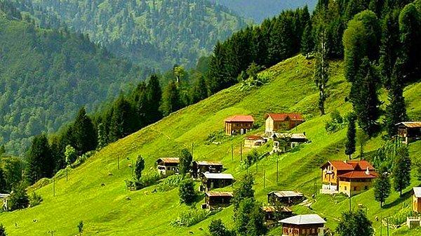Rize!