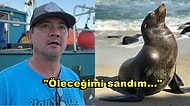 Düştüğü Okyanustan Bir Fokun Yardımıyla 5 Saat Yüzerek Kurtulan Adamın Akıllara Durgunluk Veren Hikayesi