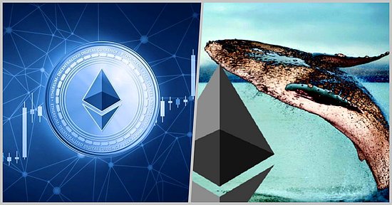 2015 Yılından Beri Uyuyan Ethereum Balinası Harekete Geçti! Ayılarla Savaşan Ethereum Risk Altında mı?