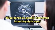 Hayatını Kaybeden Bir İnsanın Beyin Aktiviteleri Bilim İnsanları Tarafından İlk Kez Görüntülendi!