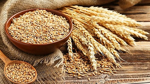 Tarım ve Orman Bakanlığı Açıkladı: Buğday Fiyatlarında Durum Ne? Buğday Fiyatları Artacak mı?