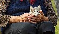 Исследования показывают, что кошки и собаки могут защитить владельцев от потери памяти в старости