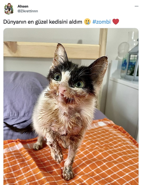 1. Değişimini görmek için sabırsızlanıyoruz. ❤️