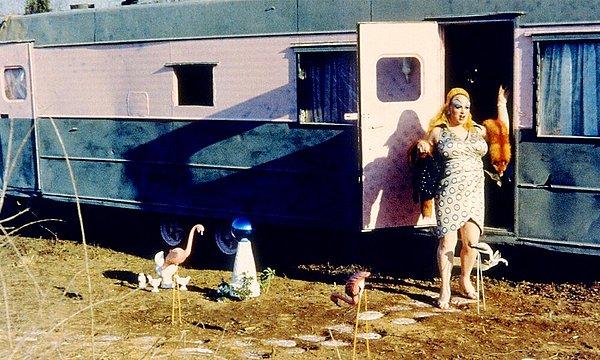 21. Pink Flamingos (1972)