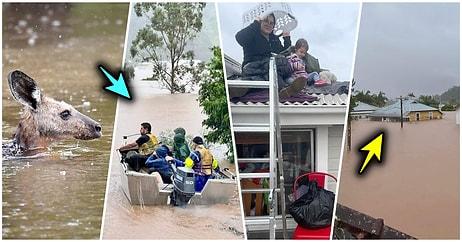 Bit Artık 2022! Avustralya'da Yaşanan Sel Felaketinin Geldiği Ürkütücü Boyutları Gözler Önüne Seren Kareler