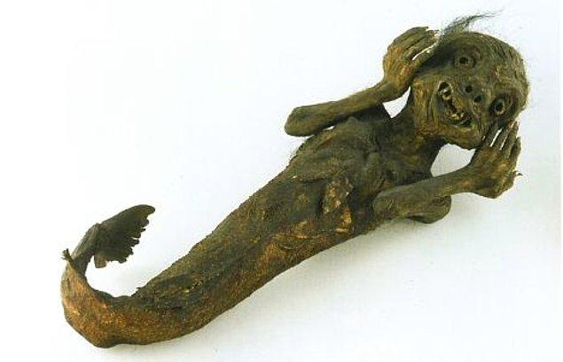 Japonya'da bulunan deniz kızı mumyasına çok benzer bir keşif daha önce tekrardan yapılmıştı.