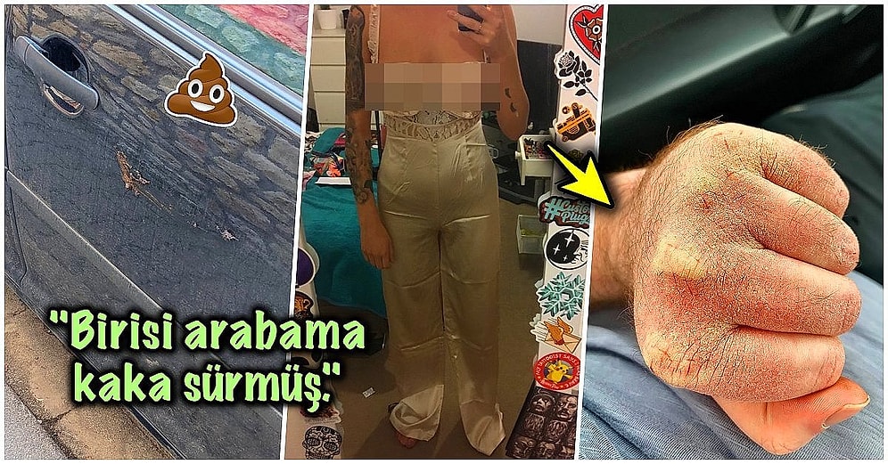 Çöle Düşse Kutup Ayılarıyla Karşılaşıp Birtakım Tatsız Olaylar Yaşayabilecek 15 Bahtsız Kişi