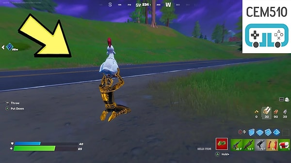 Fortnite Avian Ambush Week Quests