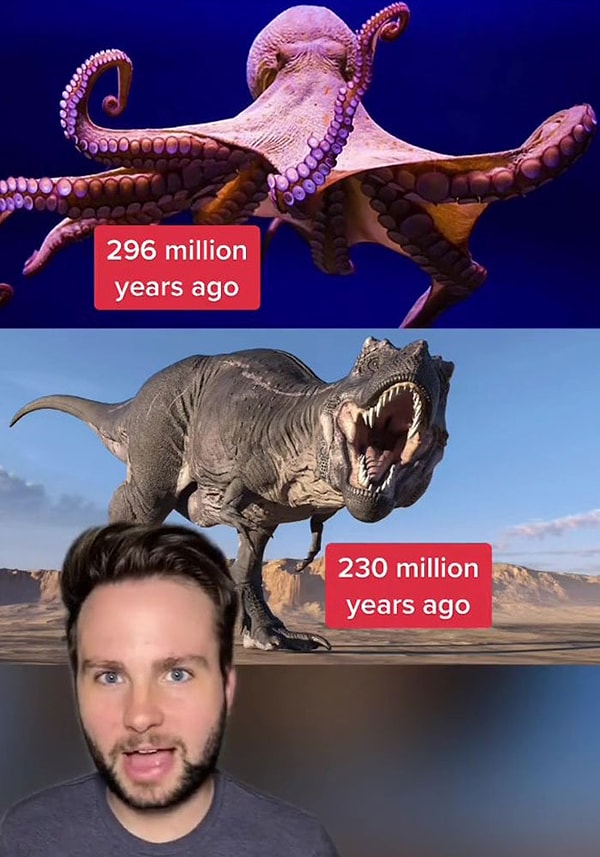 8. Осьминоги существуют дольше, чем динозавры.