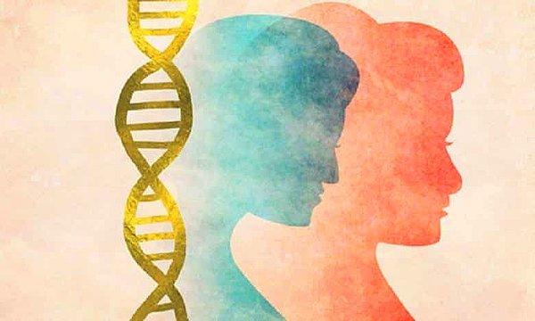 Epigenetik Bilimi Neyi İnceler?