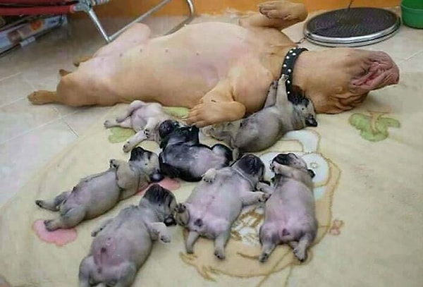 20. Тихий час: