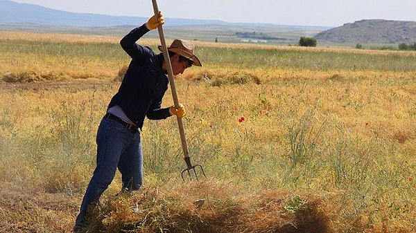 Tarım destekleri milli gelirin yüzde 1'ini buluyor mu?