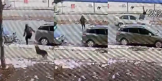Sivas'ta Karşısına Çıkan Sokak Köpeğinden Korkup Kaçmak İsteyen Çocuğa Araba Çarptı