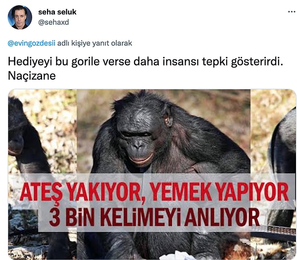 Siz ne düşünüyorsunuz?