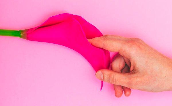 1. Klitoris