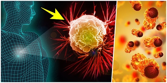 Bazı Organların Kansere Yakalanma İhtimalleri Diğer Organlara Kıyasla Neden Daha Yüksektir?
