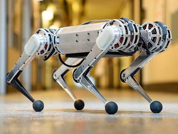 Bilim insanları robot çitalara yürüme tarzlarını uyarlamalarını öğretmek için yapay zeka tabanlı bir simülasyon geliştirdi.