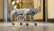 Robot Çita Hız Rekoru Kırdı! Yapay Zeka ve Simülasyon Sayesinde Hızlanmayı Öğrendi