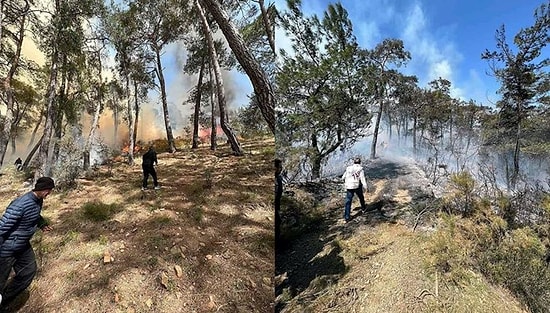 Fethiye'deki Orman Yangını Kontrol Altına Alındı: Kundaklama Şüphesi Üzerinde Duruluyor