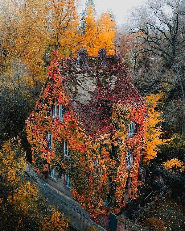 26. Almanya'nın en eski botanik bahçesi olan Giessen'deki bu evi komple sarmaşıklar sarmış.