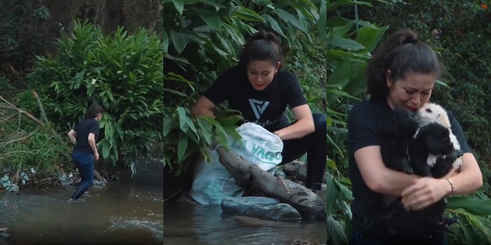 Canilerin Ağzı Kapalı Çuvalın İçinde Irmak Kenarına Bıraktıkları Köpekleri Gözyaşları İçinde Kurtaran Kadın