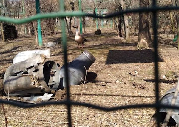 Смотрители зоопарков делают все возможное, чтобы успокоить животных, находящихся в состоянии стресса, пока европейские страны отправляют корм и медикаменты для животных.