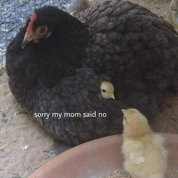 6. "Прости, но мама сказала нет"